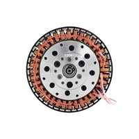 Motor Personalizado ODM sin Escobillas para Exoesqueleto Robótico HWG7015-J8, Alto Torque, Bajo Ruido, para Electrodomésticos y Robots Humanoides