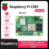 Module informatique Raspberry Pi CM4 4 Go de RAM CM4104000 CM4104008 CM4104016 CM4104032 CM4004000 CM4004008 CM4004016 CM4004032 Variantes