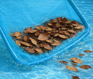 Râteau à feuilles pour <span class=keywords><strong>piscine</strong></span> avec manche, sac en nylon fin, facile à nettoyer pour éliminer les insectes, les feuilles et les débris - Product Image 3
