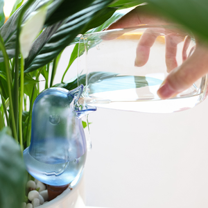 Automatic <b>Plastic</b> Irrigation System for Home Farm <b>Greenhouse</b> & Outdoor Use for Succulent and Potted Plants <b>Plastic</b> Design Durabl - Product Image 6