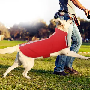 Cappotti per cani firmati accessori per il compleanno del cane giacca invernale per cani riflettente Costume da gatto