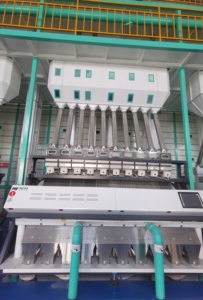 Solution complète de décorticage du riz de l'embout à l'embout avec trieuse chromatique Motor Meyer MYZL 2026, capacité de 50 à 1000 TPD, certifiée ISO9001 - Product Image 3