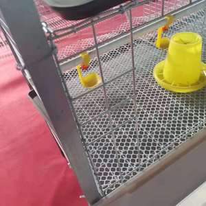 Jaula para Pollos de Acero Galvanizado de 3 Niveles y 2 Puertas, Capacidad para 60 Aves, Resistente a la Oxidación - Product Image 4