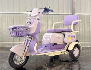 Venta de Fábrica: Nuevo Triciclo Eléctrico Compacto de 3 Ruedas, 48V 20Ah, para Mujeres, Niños y 2 Pasajeros, Modelo 2026 - Product Image 6
