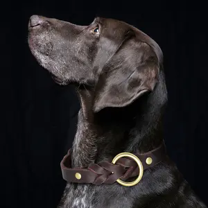 Set tali kerah anjing kulit asli jalinan kerah anjing kulit tahan lama untuk Aksesori anjing gembala Jerman besar Medium