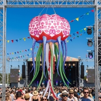 Modèles de dauphins gonflables LED personnalisés pour la décoration d'événements, ballons de dauphins gonflables suspendus pour les festivals d'art