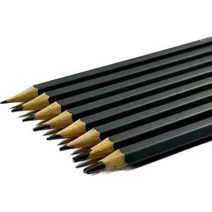 12 pièces crayons de dessin professionnels H 2H HB B 2B 3B 4B 6B 8B, crayons en graphite pour peinture de croquis