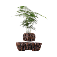 Levitasi Pot tanaman Modern berputar 360 derajat, Bonsai apung magnetik dekorasi rumah pintar meja Pot tamu