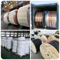 Cable eléctrico de cobre Construcción aislada de bajo voltaje Material de aislamiento XLPE