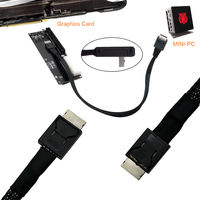 Cable de Extensión de Alta Velocidad para Servidor PCIE Oculink SFF 8611 4I a MINI SAS SFF-8611 4I, Macho a Macho, 50CM 100CM