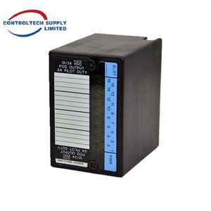 Módulo de Salida Digital IC670MDL740J en Oferta - Product Image 4