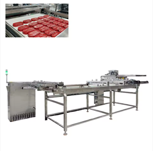 Focus Machinery Nieuwe Automatische Pallettransportband met Regelbare Snelheid en Automatische Palletiseermachine voor Ingeblikte Producten - Product Image 1