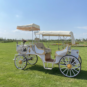Charrettes Électriques de Tourisme de Style Européen de Haute Qualité, Châssis en Acier, Capacité 4-6 Personnes, Couleur et Logo Personnalisables - Product Image 3