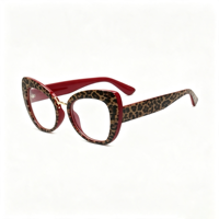 Lunettes Rétro Anti-Lumière Bleue Cat Eye en Métal SM19009 - Monture PC Légère avec Verres en Résine Transparente pour Hommes et Femmes