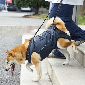 Harnais de transport pour chiens âgés et malades, vêtements d'aide pour chiens, harnais de soins, accessoires pour animaux de compagnie pour le levage et le soutien des chiens - Product Image 1