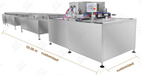 Machine à enrober au chocolat semi-automatique Gelgoog pour cacahuètes, noix, chocolat, petite machine à enrober au chocolat pour enrober les biscuits, les noix
