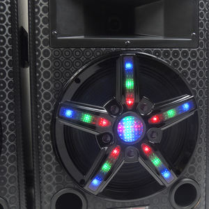 Enceintes de scène 2.0 de 10 pouces, vente chaude, W-<span class=keywords><strong>145</strong></span>, égaliseur RGB/USB/SD/radio FM/télécommande, microphone sans fil intégré - karaoké portable, home cinéma - Product Image 3