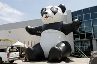 Panda gonflable géant sur mesure pour la publicité extérieure à long terme, décoration d'événements