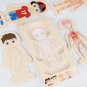 Rompecabezas Montessori de Madera para Aprender sobre las Partes del Cuerpo Humano, Anatomía, Esqueleto, Mi Cuerpo, para Niños Pequeños, Niños y Niñas - Product Image 1
