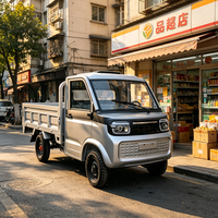 Mini camion électrique pour le marché de gros, véhicule à 4 roues avec cabine climatisée