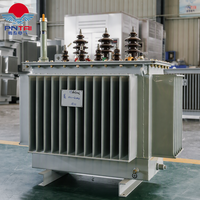 Transformateur de distribution immergé dans l'huile à double enroulement S11, 11 kV 33 kV, entièrement scellé, à économie d'énergie, 100 % efficace, directement de l'usine