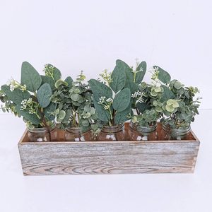 Ramas de Hojas de <span class=keywords><strong>Eucalipto</strong></span> Mixtas a Granel, Hojas de <span class=keywords><strong>Eucalipto</strong></span> Ovaladas con Semillas Blancas, Ramas para Coronas Florales, Guirnaldas, Ramos y Decoración Verde - Product Image 3
