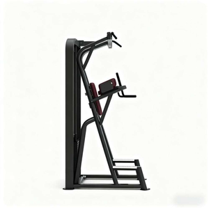 Appareil de fitness commercial pour dips et tractions, avec poignées incurvées ergonomiques, pour le remodelage du haut du corps, destiné aux centres de fitness et salles de sport - Product Image 1