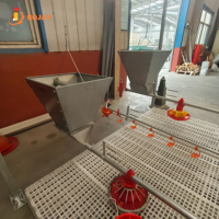 Système d'alimentation automatique pour poulets en cage, équipement pour élevages de poulets de chair commerciaux, fabricant direct d'usine, solution complète