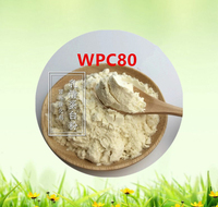 Poudre nutritionnelle Concentré de protéines de lactosérum 80% WPC Poudre de protéines de lactosérum