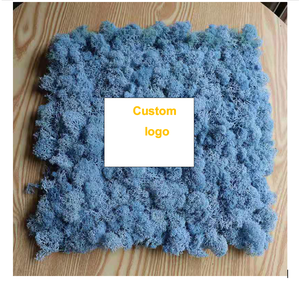Musgo preservado de gran calidad de Yunnan, superventas, para decoración de oficina - Product Image 2