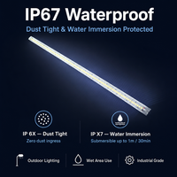 DC12V 24V IP68 Su Geçirmez LED Işık Zincirleri SMD2835 4100K Nötr Beyaz Özel Uzunlukta Dış Mekan
