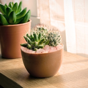 Bán Buôn Đánh Bóng Rose <span class=keywords><strong>Quartz</strong></span> Stones Tinh Thể Tinh Thần Đá Màu Hồng Tự Nhiên Trang Trí Nội Thất 1.5-2Cm - Product Image 5