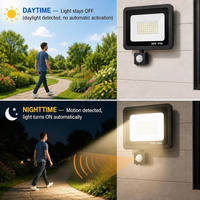 Projecteur LED de sécurité extérieur étanche IP66 30W 50W 100W 90lm/W pour parking souterrain, garage, jardin