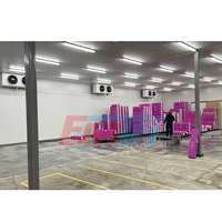 Emth Aangepaste Temperatuur 20ft Walk In Vriezer Koude Opslag Paneelruimte Voor Fruit En Groente