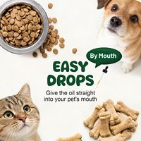 Probiotiques liquides OEM pour chiens et chats, prébiotiques, enzymes digestives, formule 3-en-1, soutien immunitaire, digestion sensible, vitamines nutritives
