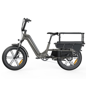 Vélo <span class=keywords><strong>cargo</strong></span> électrique EU/UK à longue portée, <span class=keywords><strong>moteur</strong></span> central 250W, vélo électrique familial 20 pouces pour le transport de courses lourdes et les trajets urbains - Product Image 3