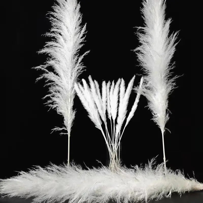 Groothandel Pampas Gras Wedding Boho Decor Natuurlijke Gedroogde Bloem Decoratieve Bloemen Pluizige Grote Pampas Pampa Gras