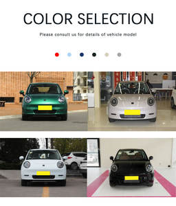 China Elektroauto <span class=keywords><strong>Yttrium</strong></span> 3 2025 330km Liberty Edition Pure Electric 82 PS Kompakt auto EV-Fahrzeuge mit Frontantrieb - Product Image 6