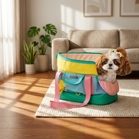 Sac à dos respirant pour petit chien, sac de transport portable à bandoulière motif dessin animé, grande capacité 5 kg
