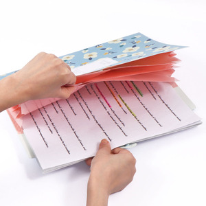 Dossier A4 en plastique extensible à fermeture sécurisée pour un transport facile des <span class=keywords><strong>documents</strong></span>, livraison rapide - Product Image 4