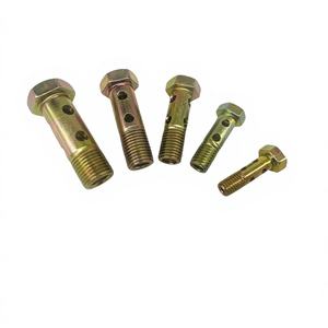 FM Шестигранный полый винт с одним/двумя/тремя/четырьмя/шестью/многопозиционными отверстиями, для возврата масла, класс 4.8, оцинкованный, метрический/имперский - Product Image 2