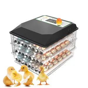 192 incubateur d'œufs de poule avec entraînement d'œufs entièrement automatique 220v 110v 12v disponible