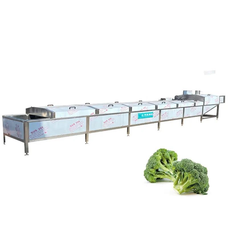 Customized salad production line vegetable blancher broccoli blanching machine