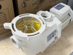 Pompe de filtration pour piscine haute pression style Pentair 1,5hp 2hp 3hp - Product Image 4