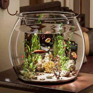 Pecera Redonda <span class=keywords><strong>de</strong></span> Plástico Ecológica para Interiores, Mini <span class=keywords><strong>Acuario</strong></span> para Sala <span class=keywords><strong>de</strong></span> Estar/Oficina sin Iluminación/Filtro/Calefacción - Product Image 5