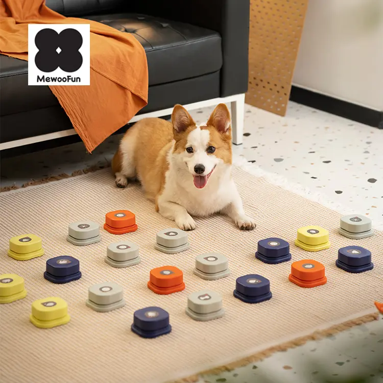 Puzzle toys for dogs