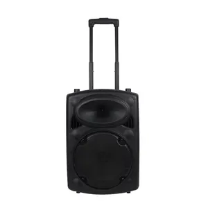 15 Inch 150w 120 Magnetic 4 Ohm Bass Multi Media Trolley Party Speaker With Wireless Mocrophone