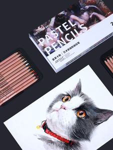 Prezzo di fabbrica artista in legno <span class=keywords><strong>pastello</strong></span> matite colorate Set di <span class=keywords><strong>disegno</strong></span> a matita per disegnare - Product Image 5