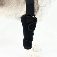 Nouvelle attelle carpienne respirante pour pattes avant de chien, antidérapante, pour soins des plaies et récupération des blessures, écologique et durable, en polyester PETSGUARD