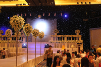 Vente chaude Led Décoration De Mariage Toile De Fond Ignifuge Tissu Lumière Dmx Contrôle Led Star Rideau Pour La Fête Dj